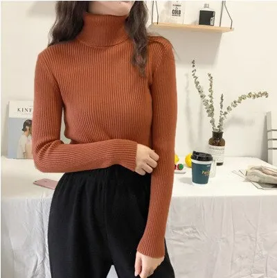 Pullover Turtleneck Pullover Sweater