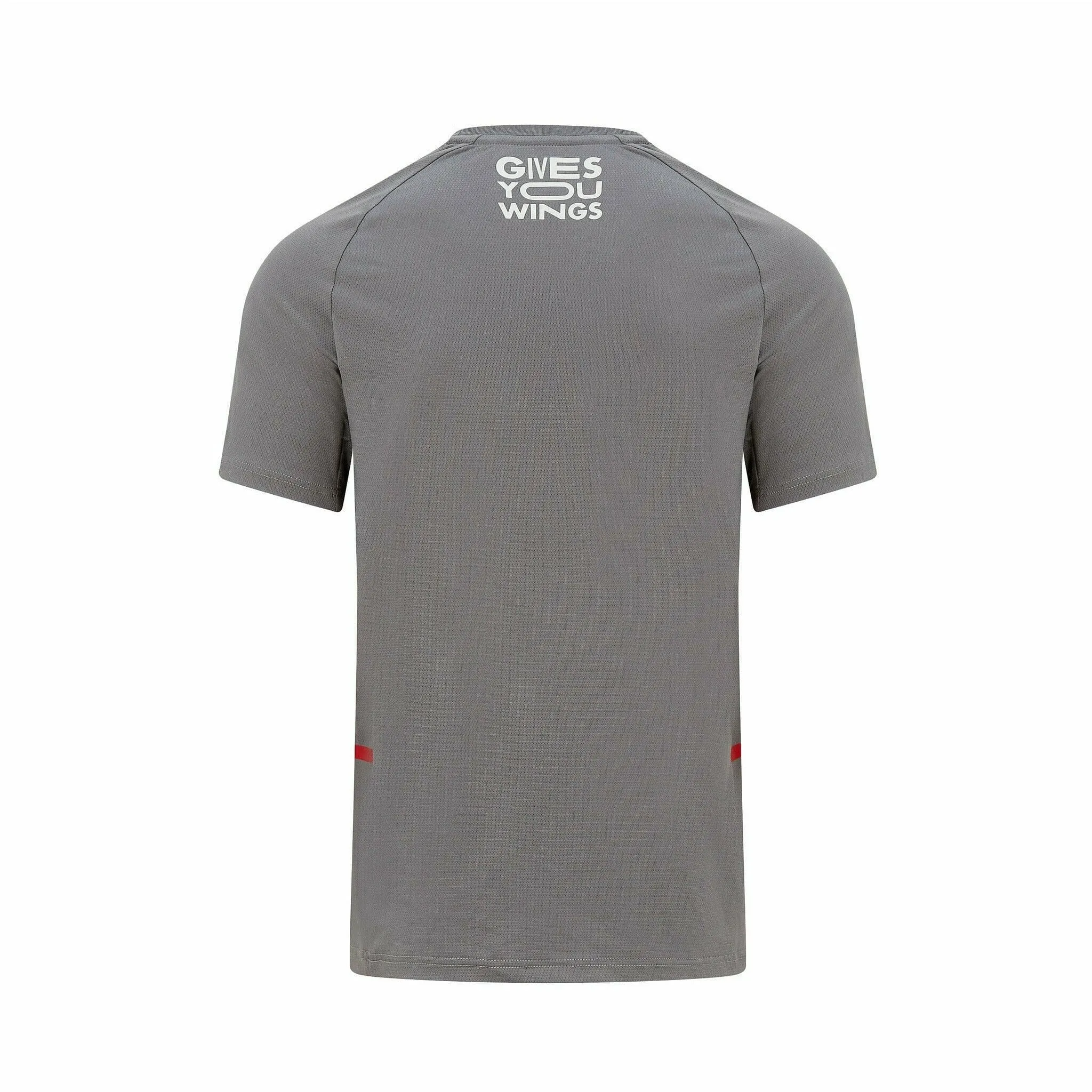 Red Bull Racing F1 Men's Tech T-Shirt