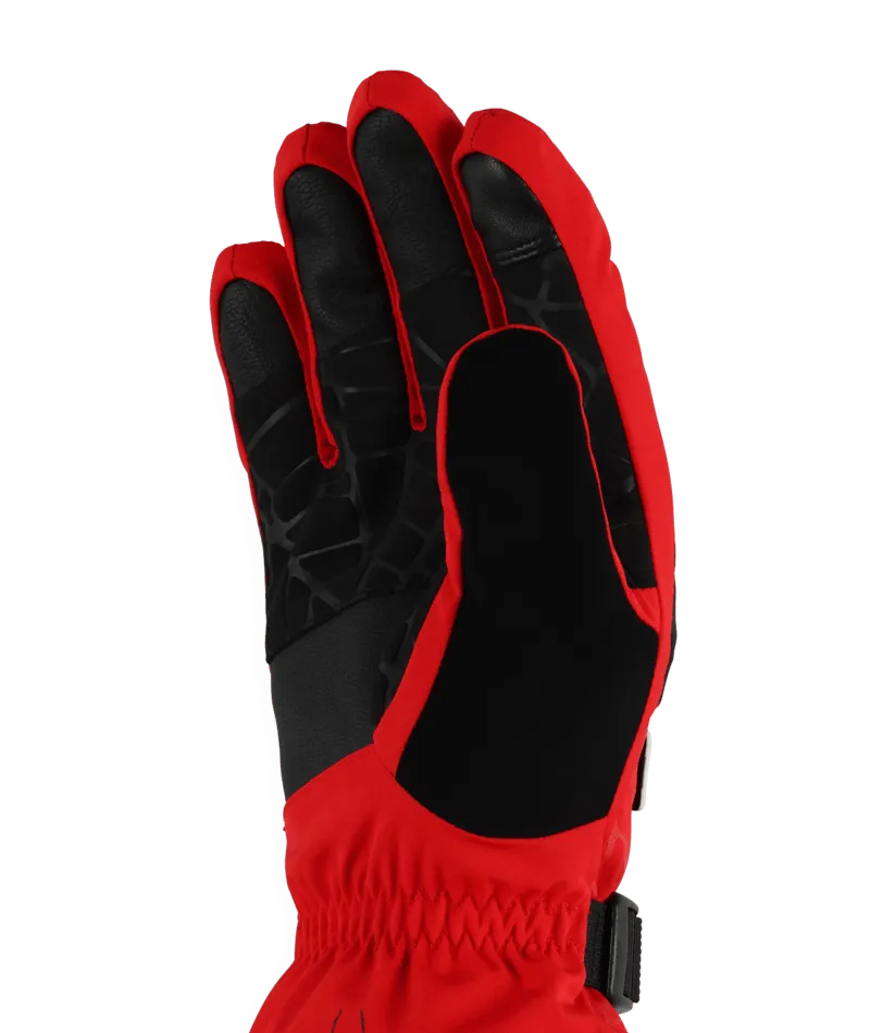 Spyder Overweb Gore-Tex Ski Gloves - Men's